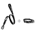 ALL ACTION® Pro Power Dog Collar 2.5cm + Swivel Lead Bundle
