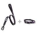 ALL ACTION® Pro Power Dog Collar 2.5cm + Swivel Lead Bundle