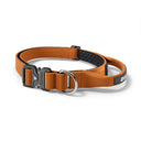 Bullyion Pro Power ® Dog Collar with Handle Tactical Military Grade 2.5cm Width Small