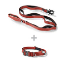 ALL ACTION® Pro Power Dog Collar 2.5cm + Progressive Ladder Lead Bundle