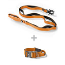 ALL ACTION® Pro Power Dog Collar 4cm + Progressive Ladder Lead Bundle