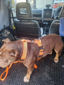 Bullyion Trinity® Dog Harness Anti Pull Military Grade Tactical Training Adjustable