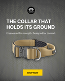 Bullyion All Action® Pro Power Dog Collar with Handle Tactical Military Grade 5cm Width