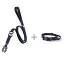 ALL ACTION® 2.5cm Collar + Swivel Lead Bundle