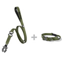 ALL ACTION® 2.5cm Collar + Swivel Lead Bundle