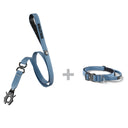 ALL ACTION® 2.5cm Collar + Swivel Lead Bundle