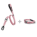 ALL ACTION® 2.5cm Collar + Swivel Lead Bundle