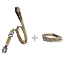 ALL ACTION® 2.5cm Collar + Swivel Lead Bundle
