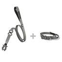 ALL ACTION® 2.5cm Collar + Swivel Lead Bundle