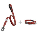 ALL ACTION® 2.5cm Collar + Swivel Lead Bundle