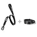 ALL ACTION® 4cm Collar + Swivel Lead Bundle