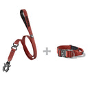 ALL ACTION® 4cm Collar + Swivel Lead Bundle