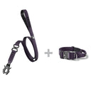 ALL ACTION® 4cm Collar + Swivel Lead Bundle