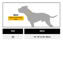 Bullyion All Action® Pro Power Dog Collar with Handle Tactical Military Grade 2.5cm Width Small