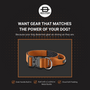 Bullyion All Action® Pro Power Dog Collar with Handle Tactical Military Grade 4cm Width