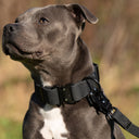 ELITE+® All Action Tactical Military Grade Dog Collar Width – 4cm Adjustable