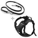 HIFLEX® Duplex Set - No Pull Y Shape Harness & Duplex Double Ended Training Lead 2m
