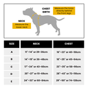 HIFLEX® Harness & Duplex Double Ended Training Lead Bundle