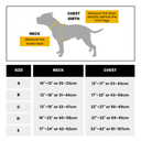 Bullyion Honeycomb® Dog Harness Lightweight Anti Pull Airmesh With Handle Adjustable