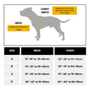 HYGGE® Comfort Padded Y-Shape Dog Harness with Handle – Adjustable