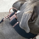 ELITE+® All Action Tactical Military Grade Dog Collar Width – 4cm Adjustable