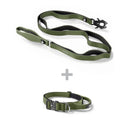 ALL ACTION® 2.5cm Collar + Progressive Ladder Lead Bundle