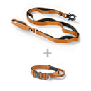 ALL ACTION® 2.5cm Collar + Progressive Ladder Lead Bundle