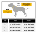 Bullyion Trinity® Dog Harness Anti Pull Military Grade Tactical Training Adjustable