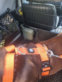 Bullyion Trinity® Dog Harness Anti Pull Military Grade Tactical Training Adjustable